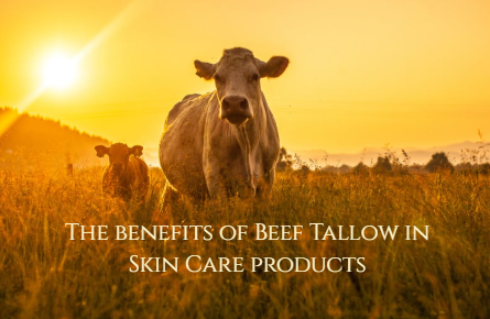 Why Tallow? The Timeless Secret to Beautiful Skin
