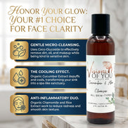 Visions of You Beautiful | Aloe & Cucumber Vitality Cleanser