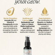 Visions of You Beautiful | Niacinamide Facial Serum